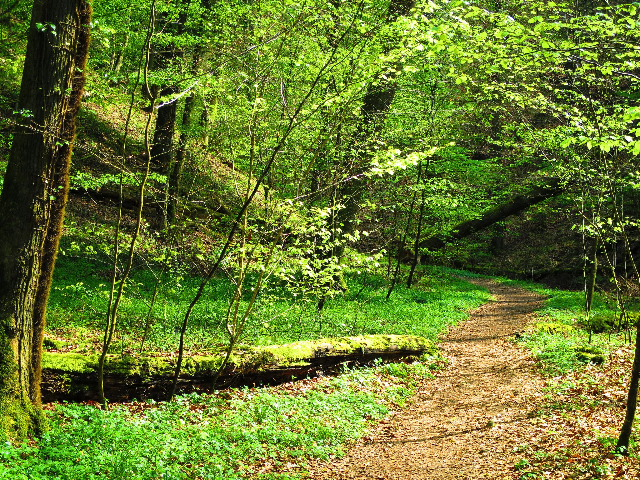 Auf dem Weg durch die Klingenberger Schlucht