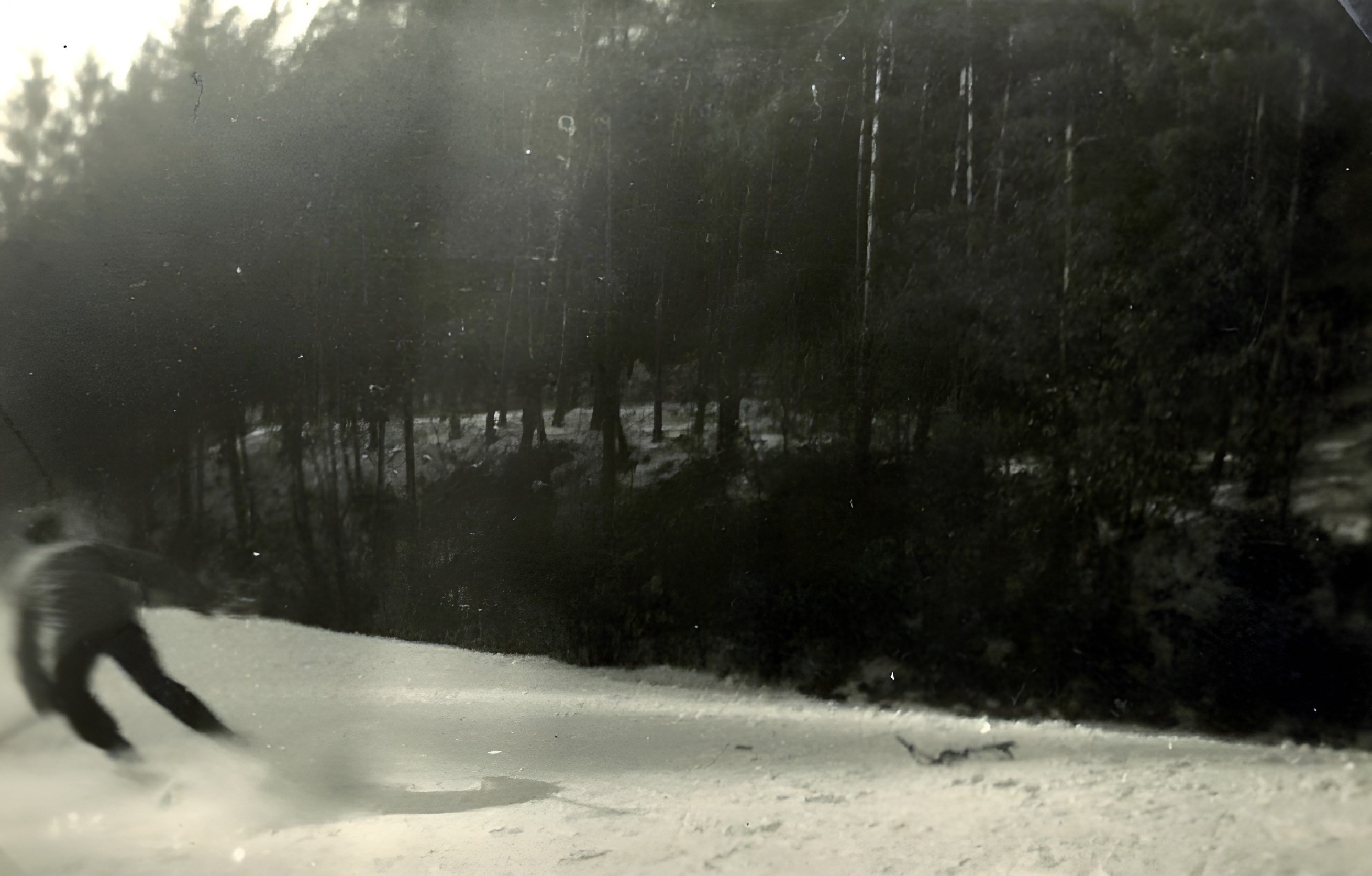 Auf der Süppelwiese im Januar 1955
