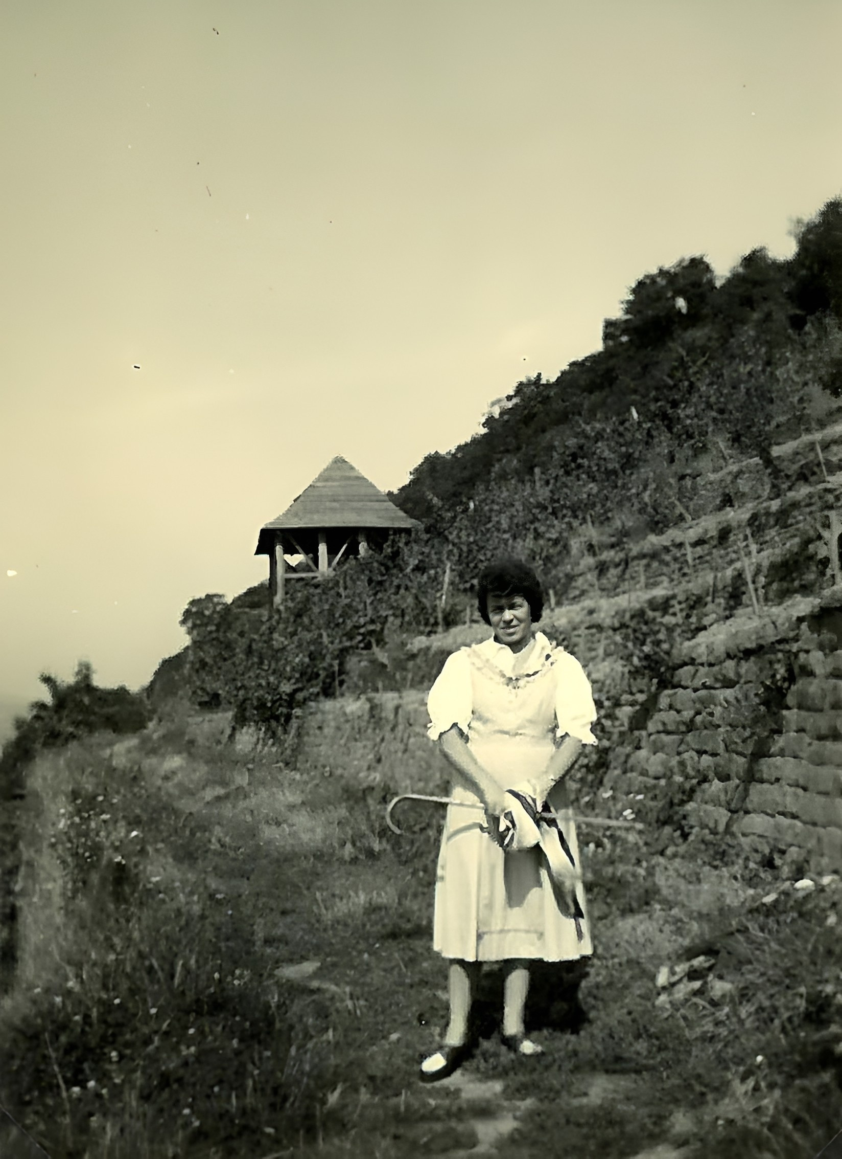 Der Pavillon um 1956