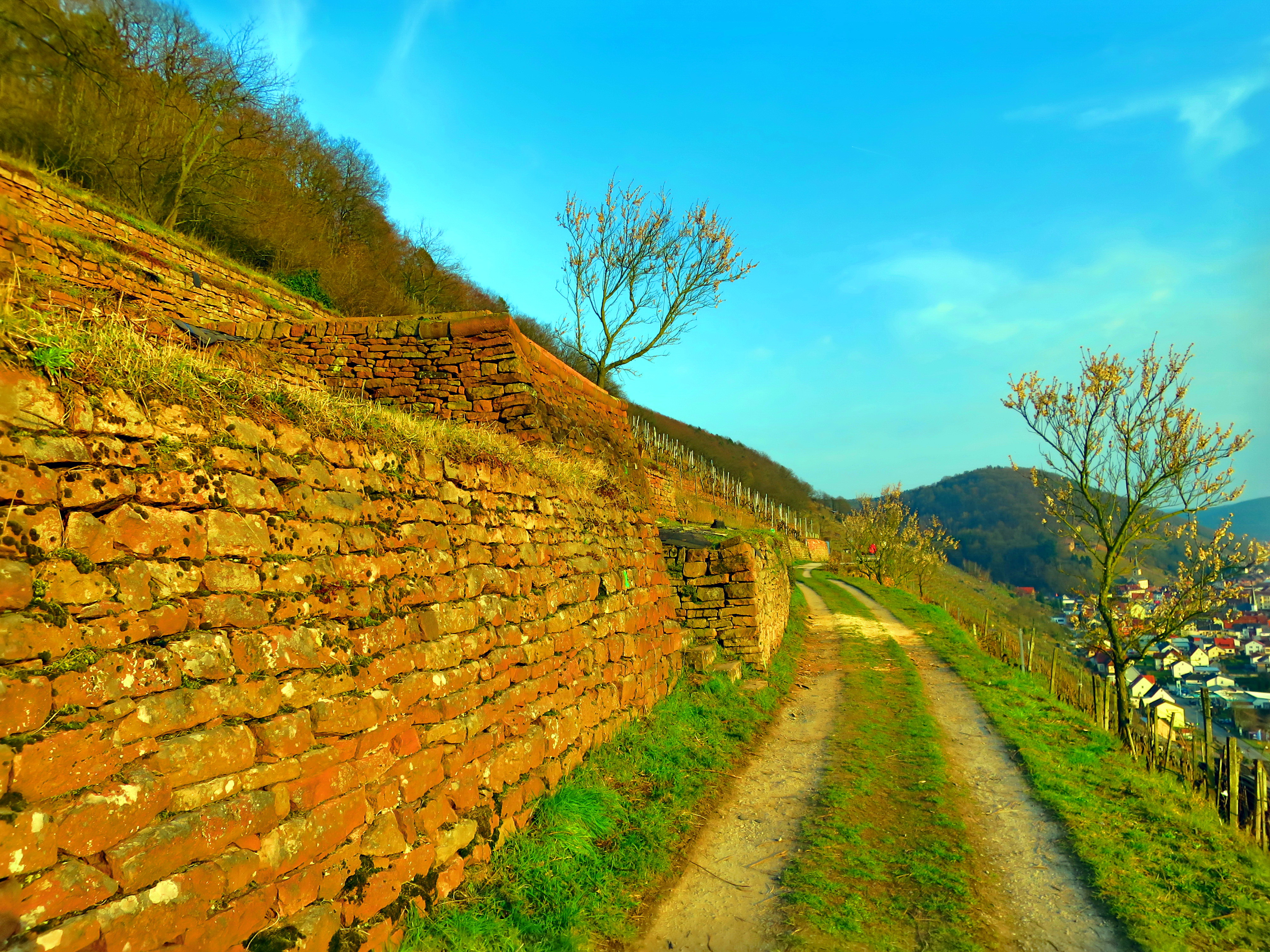 Der Pavillon ist entfernt. Auf dem Sockel wird der neue Terroir f Punkt entstehen