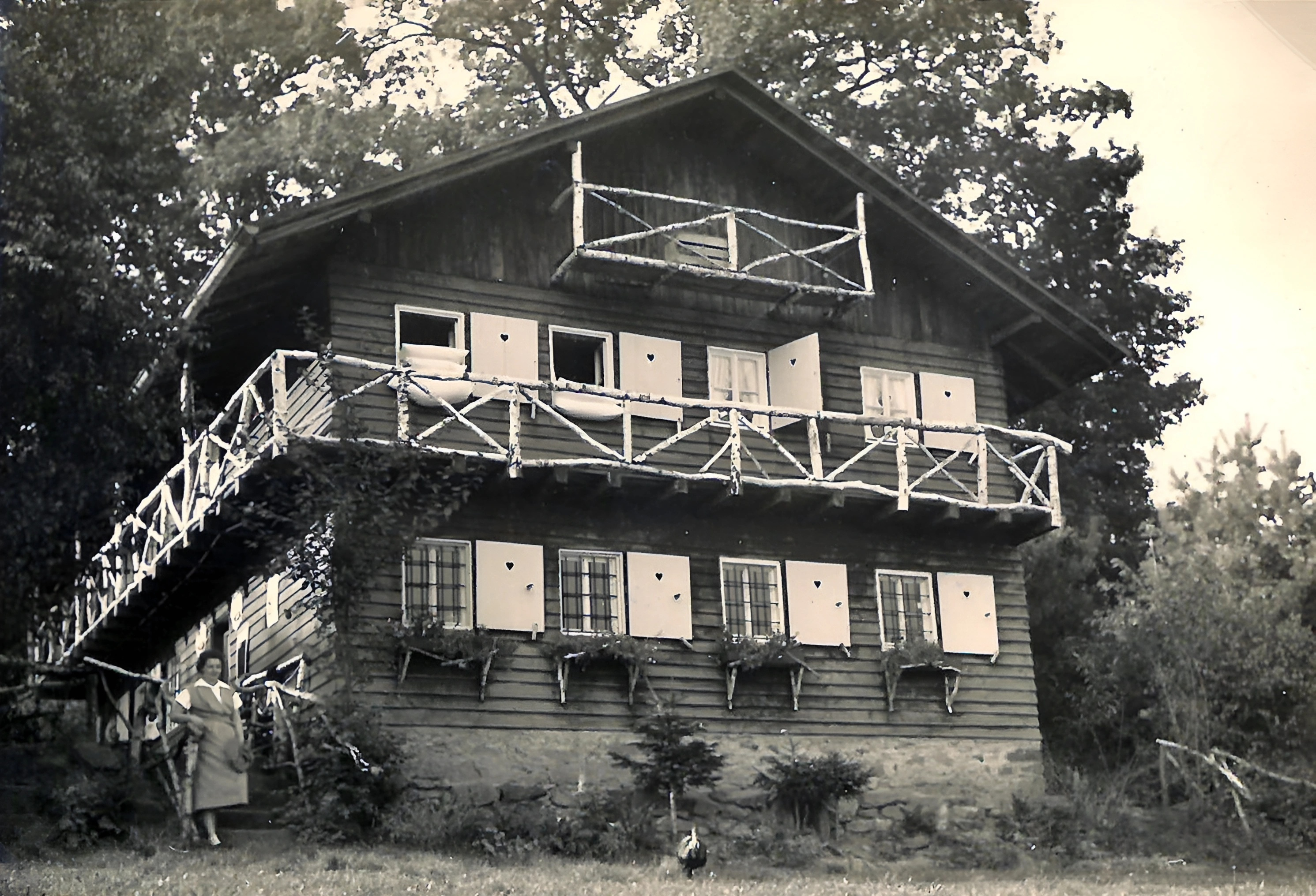 Wald Café und Schokoladenfabrik im September 1955