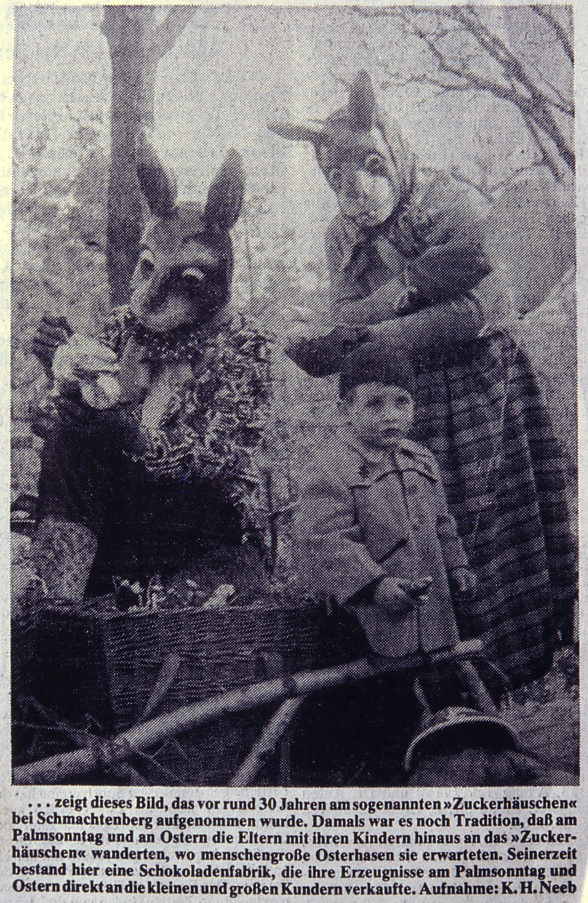 Zeitungsartikel zum Zuckerhäuschen aus den 1980er Jahren