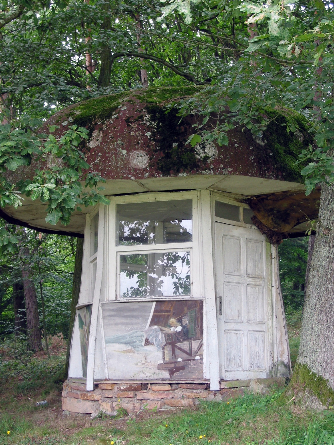 Der ursprüngliche Märchenpilz am 31.08.2002