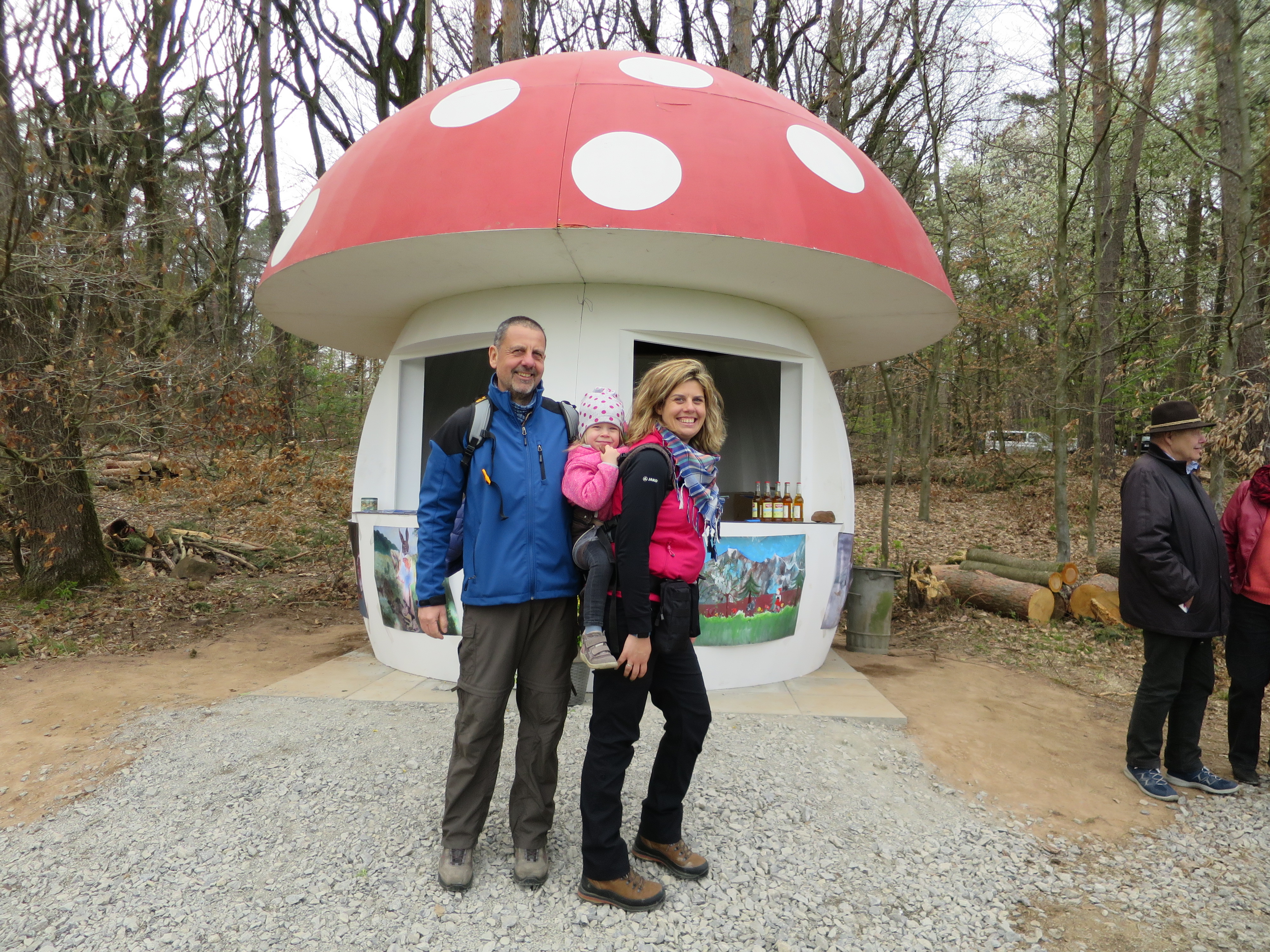 Der Milchpilz aus Wangen