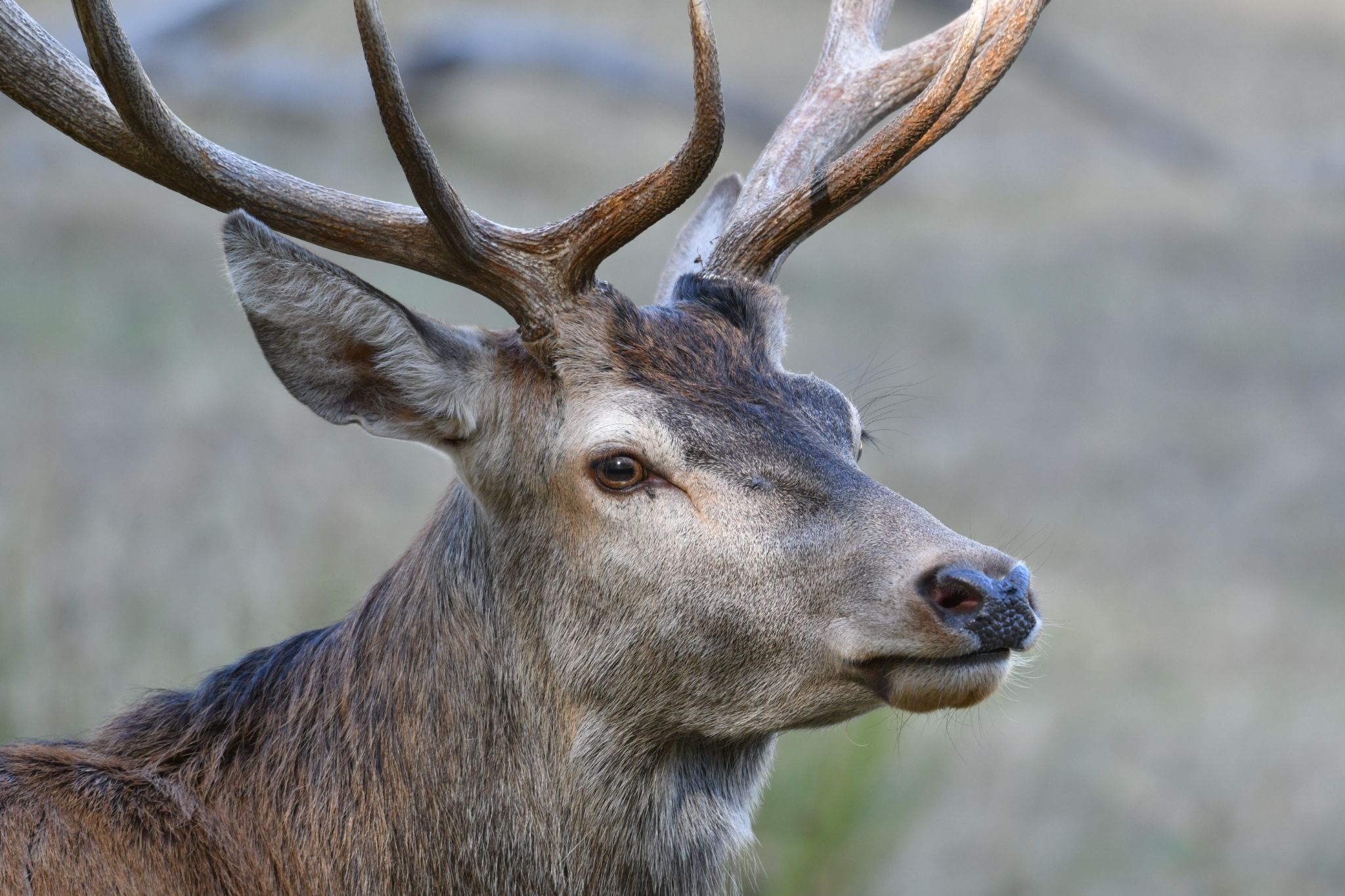 Im Tierpark in Oberaulenbach