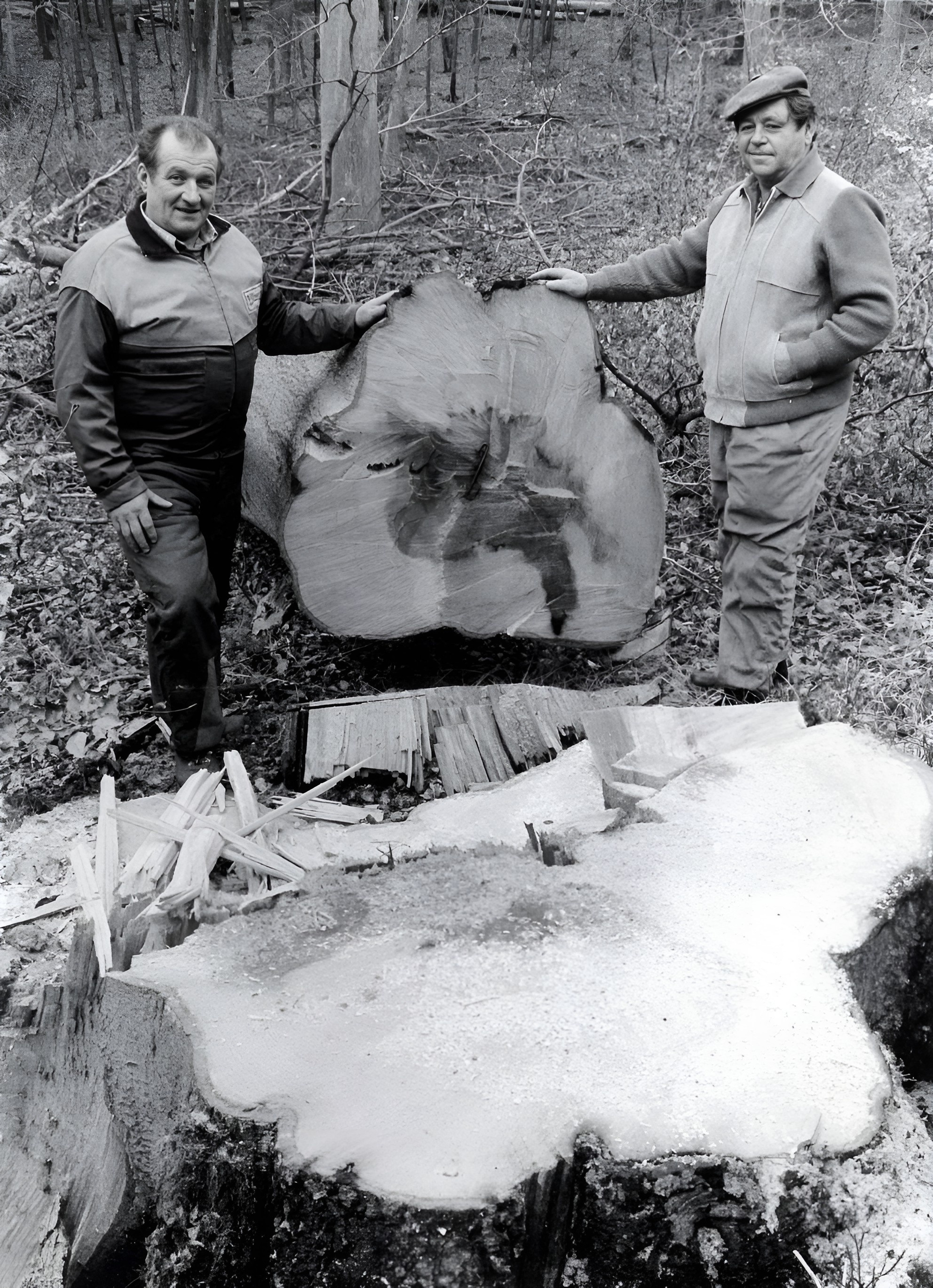 Hans Fischer und Hermann Arnold