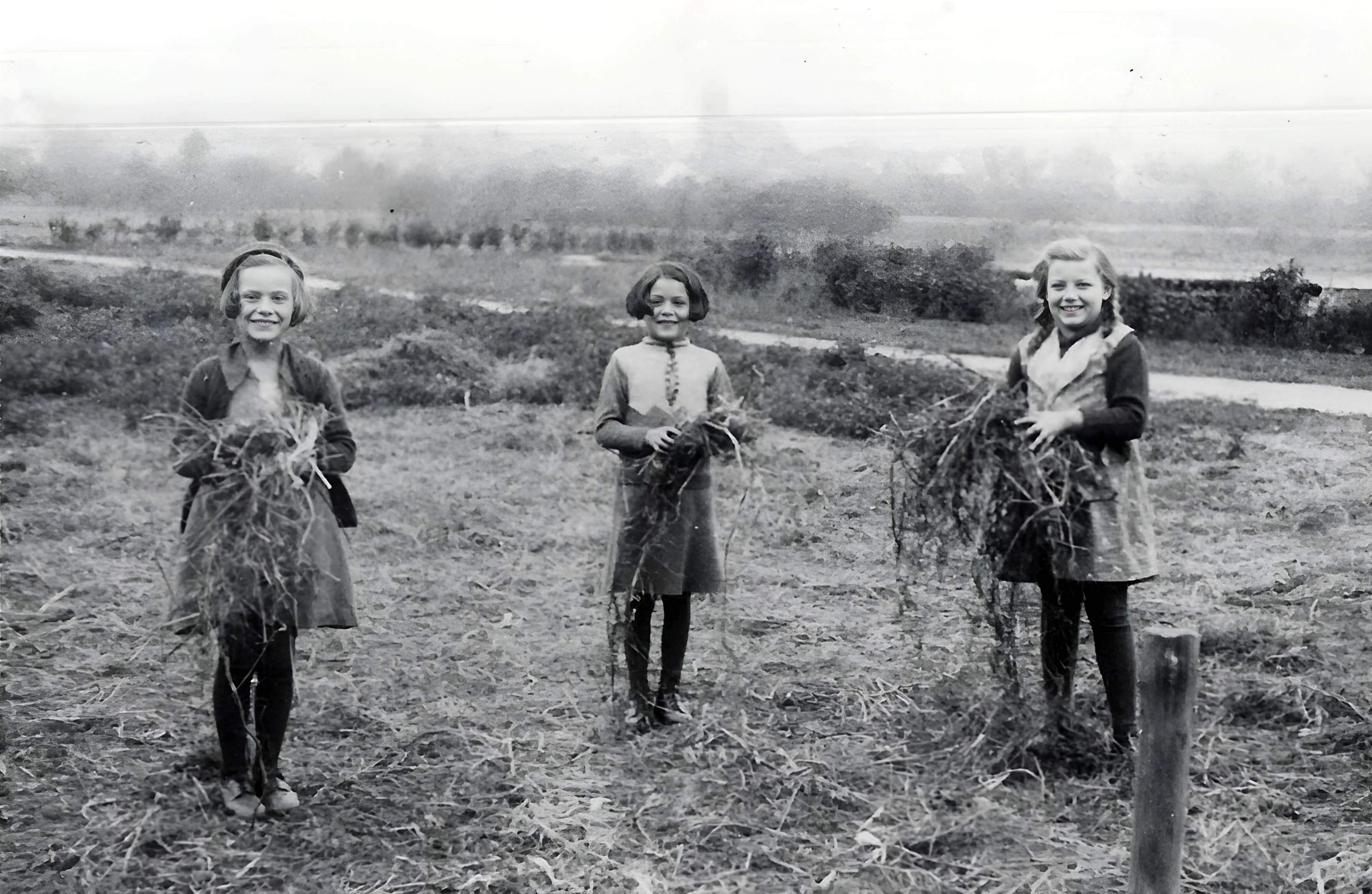 Drei Mädchen mit Heu