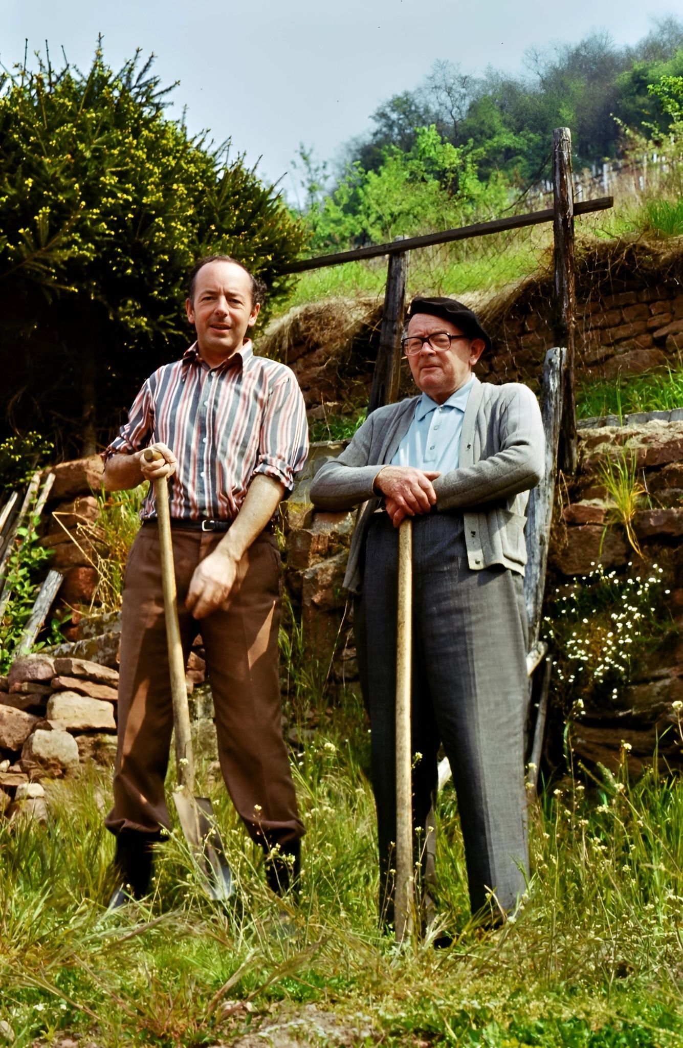 Max Nickles mit Sohn Dr. Heribert Nickles im Wengert hinter der Wilhelmstraße 43
