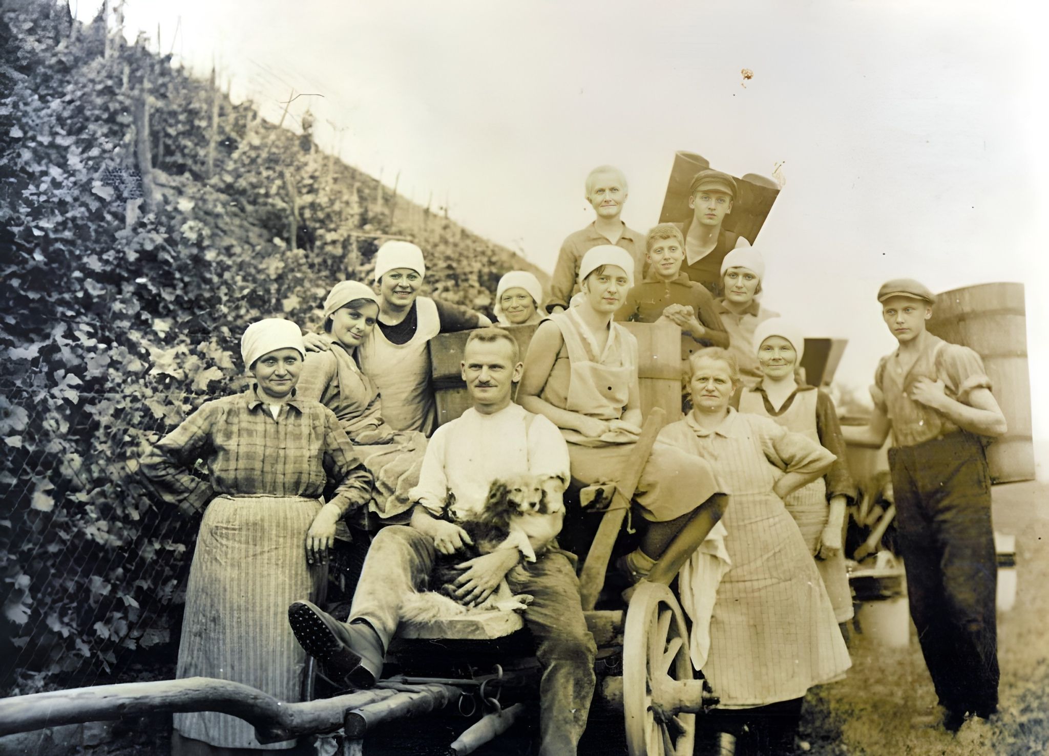 Traubenlese bei Familie Konrad Arnheiter 1928