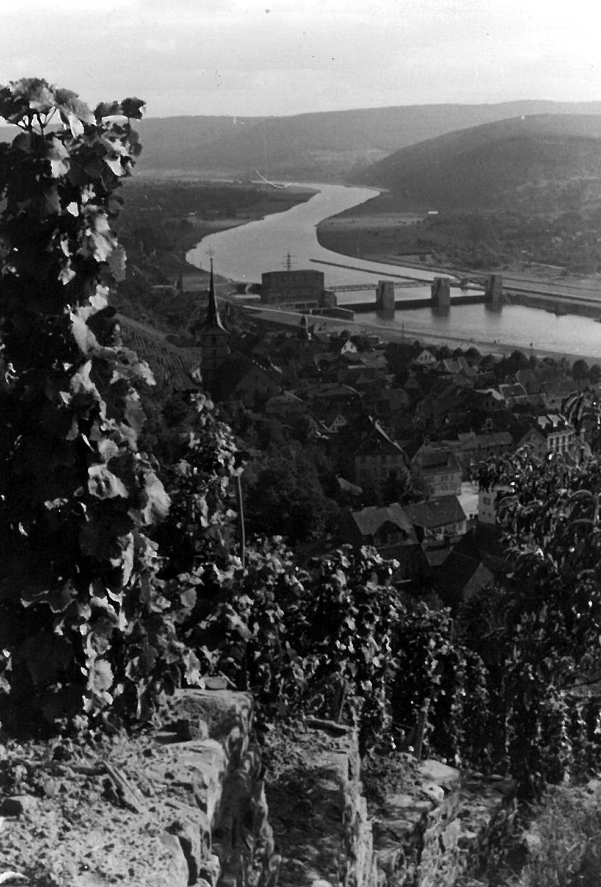 Blick durch den Weinberg auf Klingenberg ca. 1932