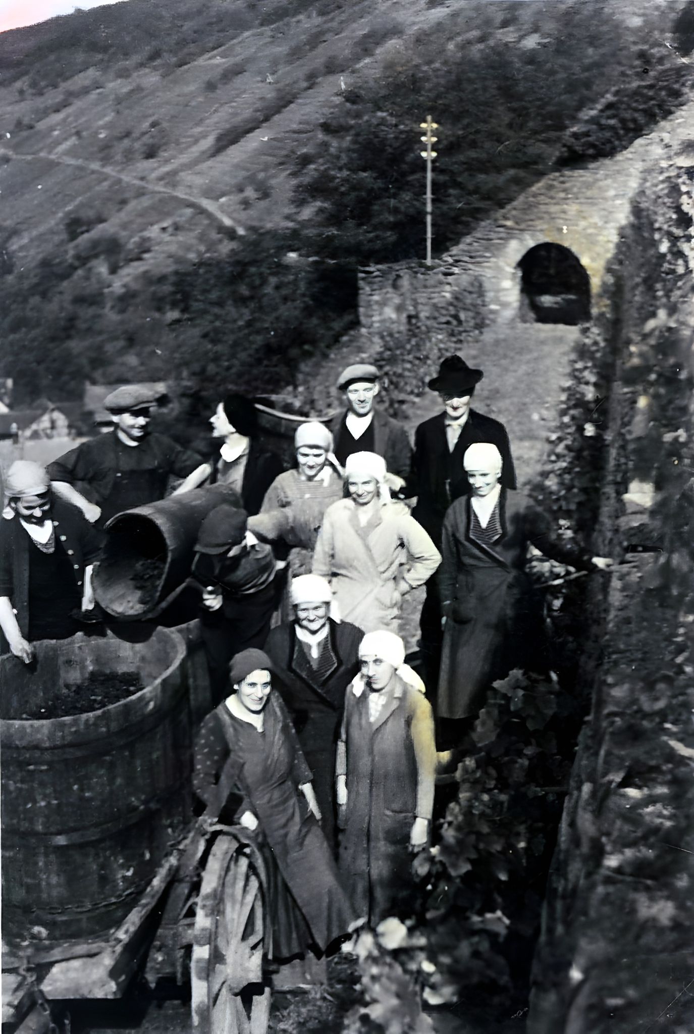 Traubenlese bei der Stadt Klingenberg