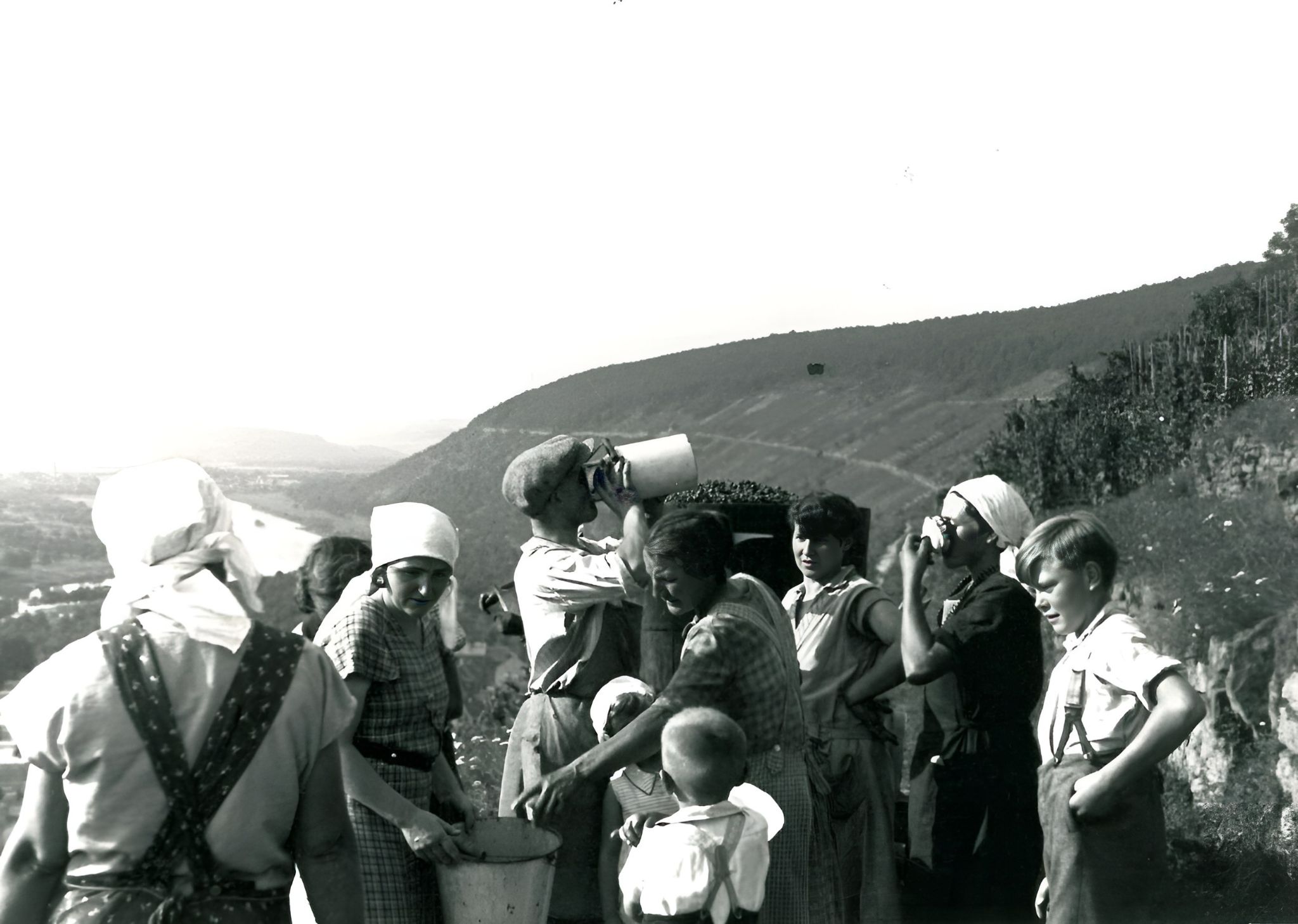 Traubenlese am Schlossberg