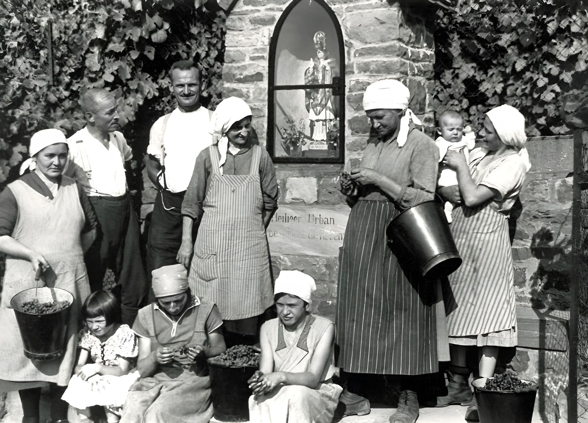 Traubenlese bei Familie Konrad Arnheiter