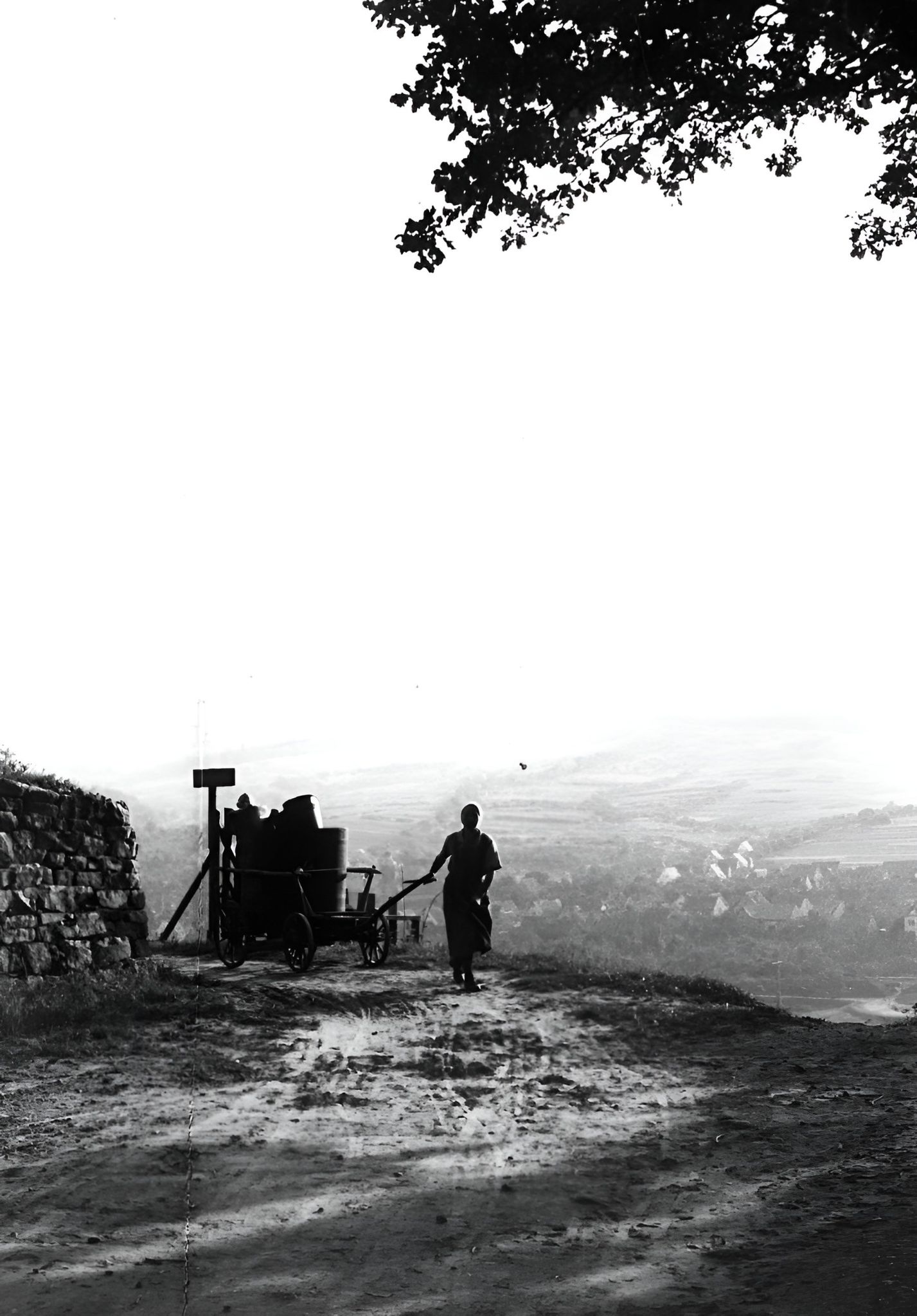 Das Lesegeschirr wird in den Weinberg gekarrt