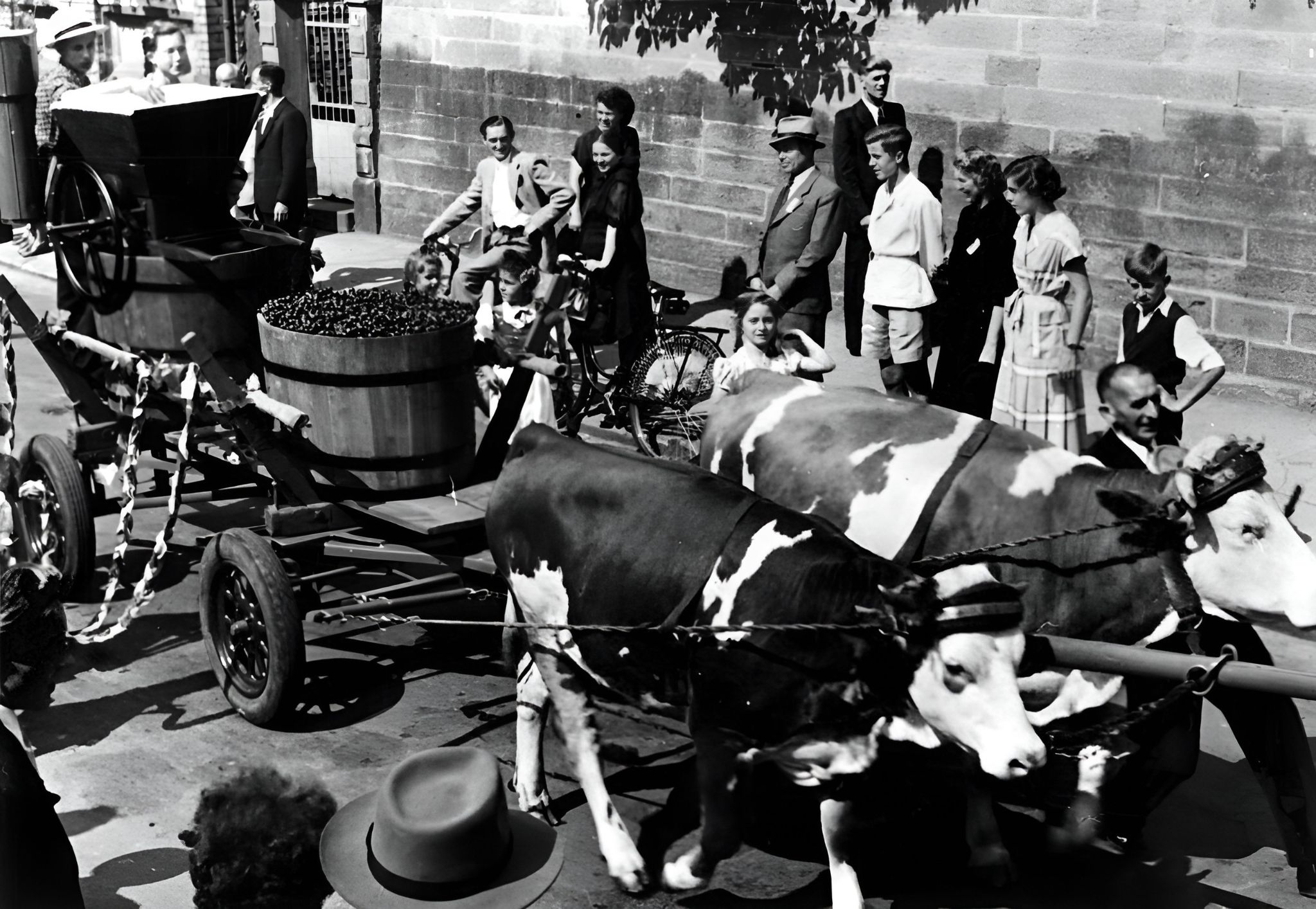 Ochsenkarren in der Ludwigstraße