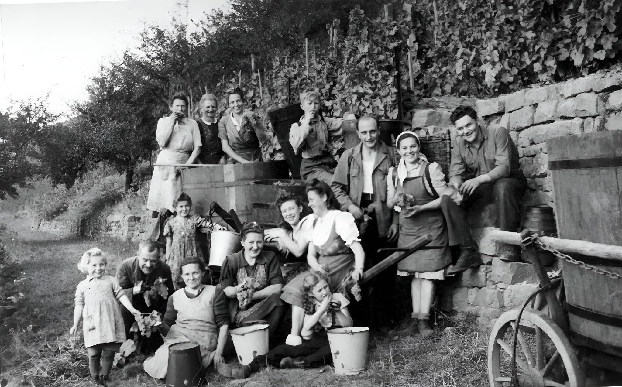 Gruppenfoto bei der Traubenlese 1948