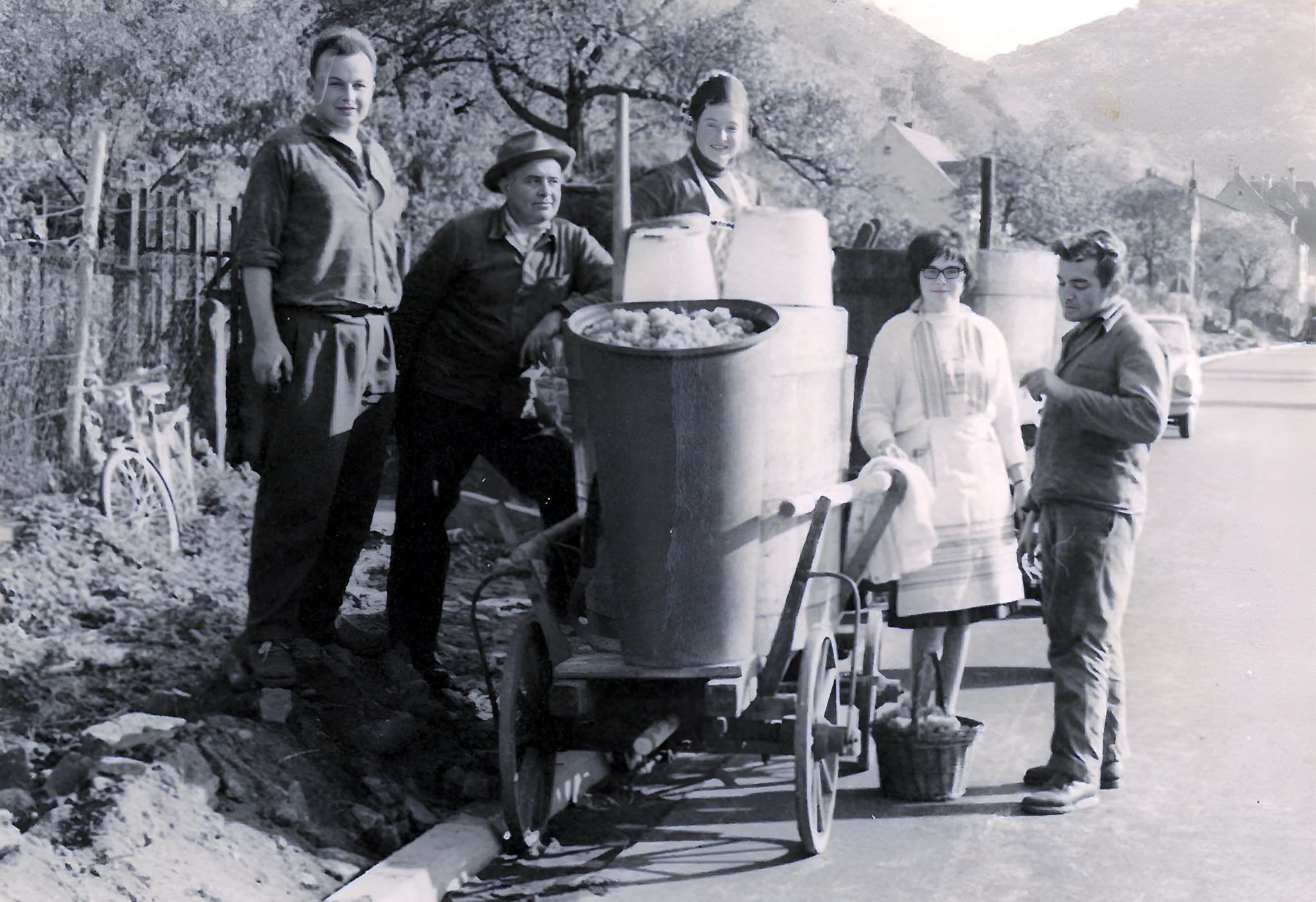 Weinlese in der Ludwigstraße