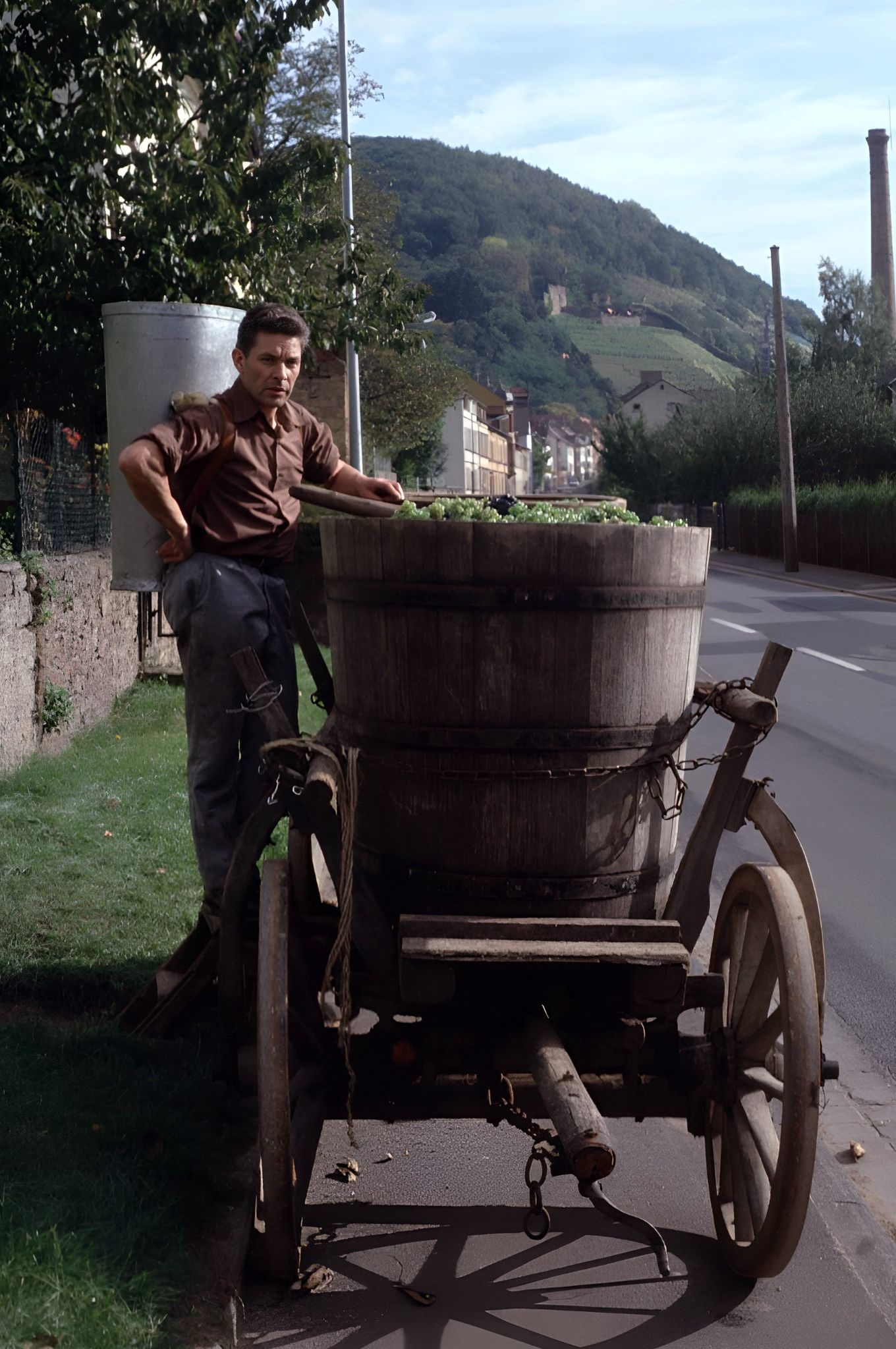 Traubenlese bei Familie Faust 1982