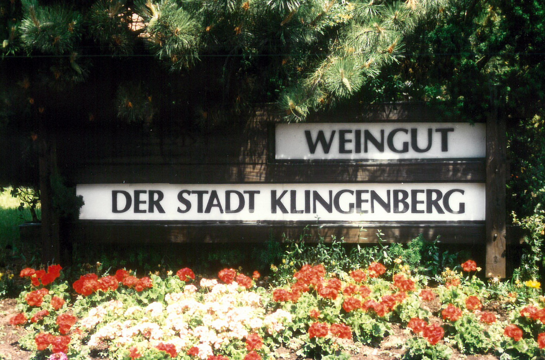 Der Schiftzug am Eingang des Weinguts 2002