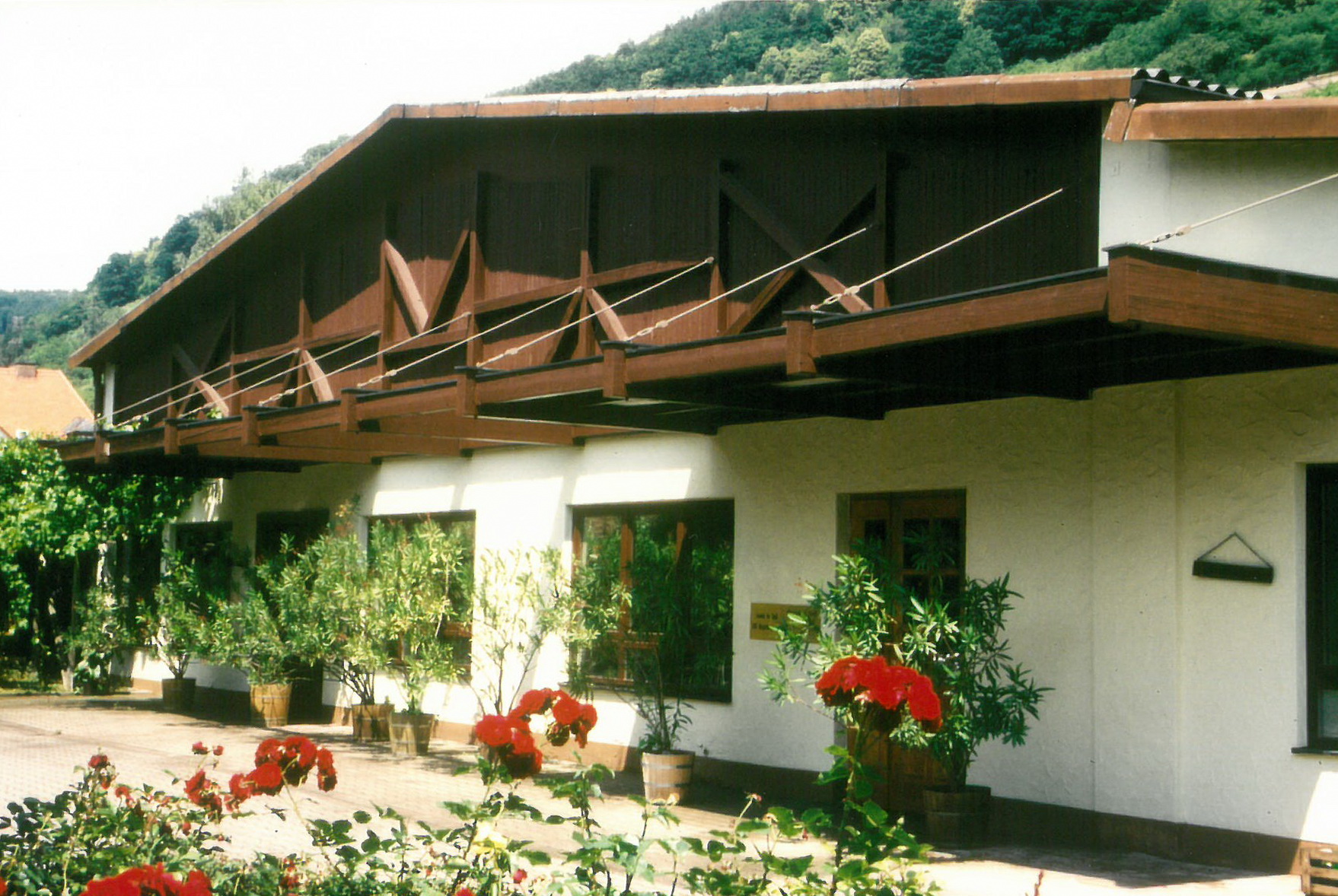 Die Westseite des Weinguts 2002