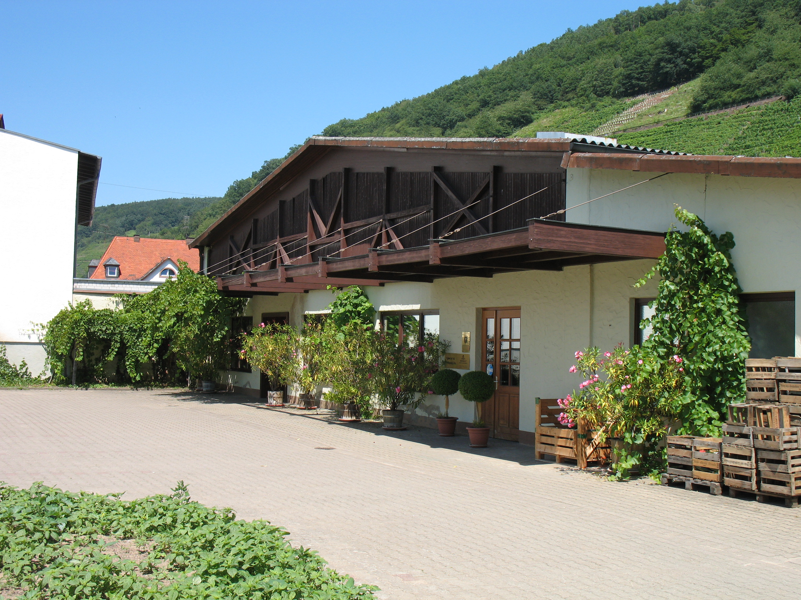 Das Weingut im Jahr 2007