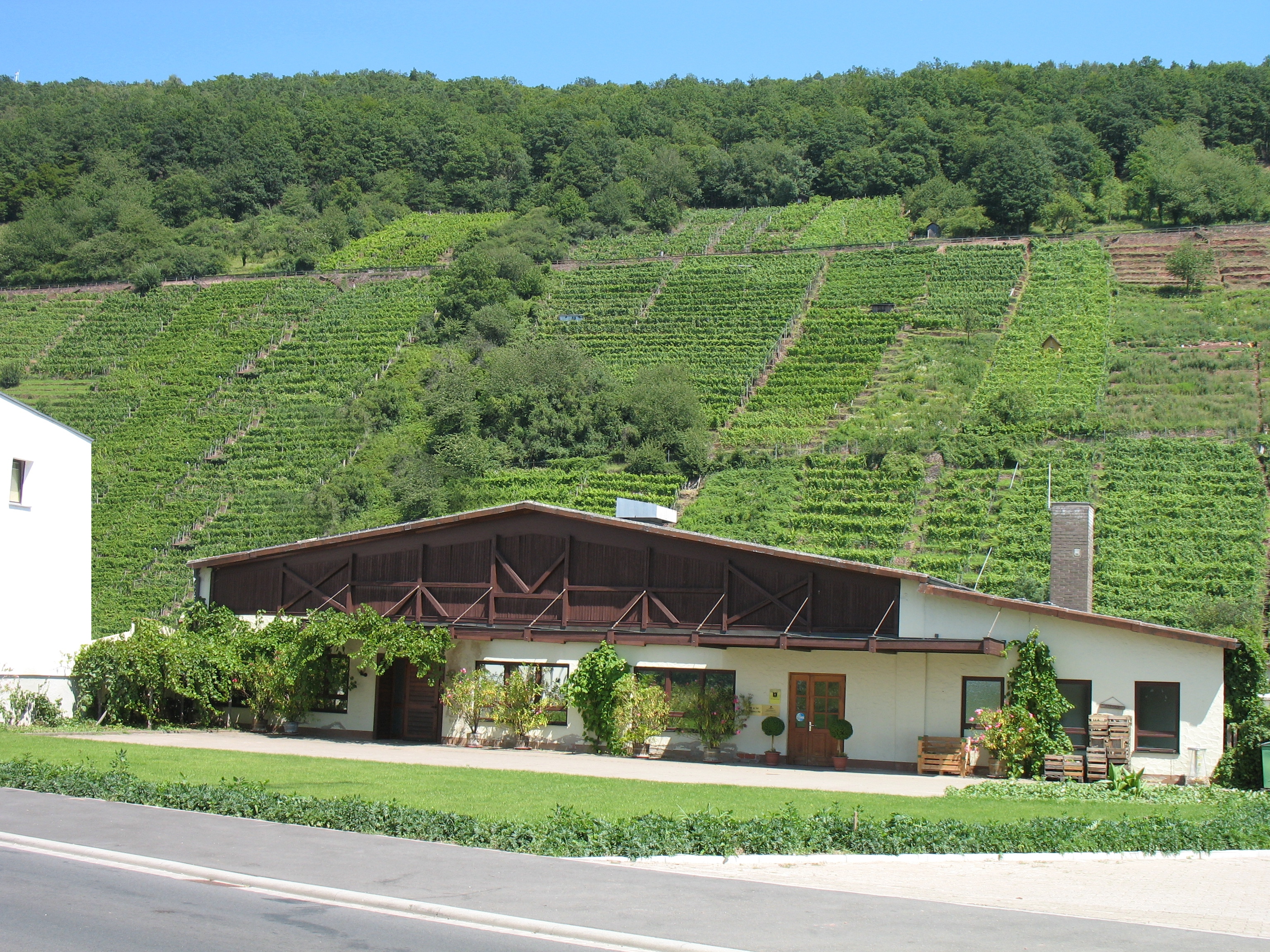 Außenansicht des Weinguts