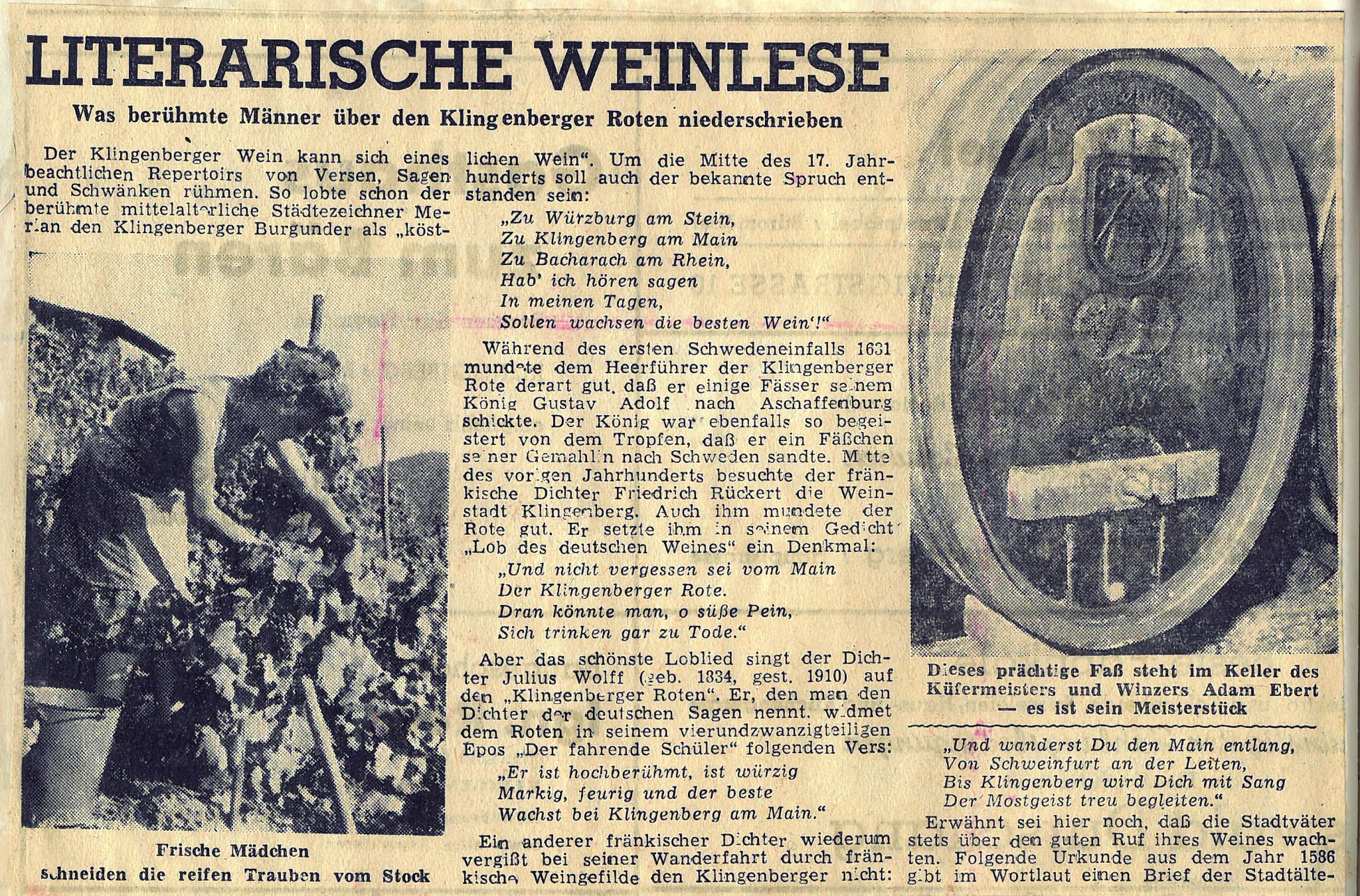 Zeitungsbericht zum Klingenberger Winzerfest 1950