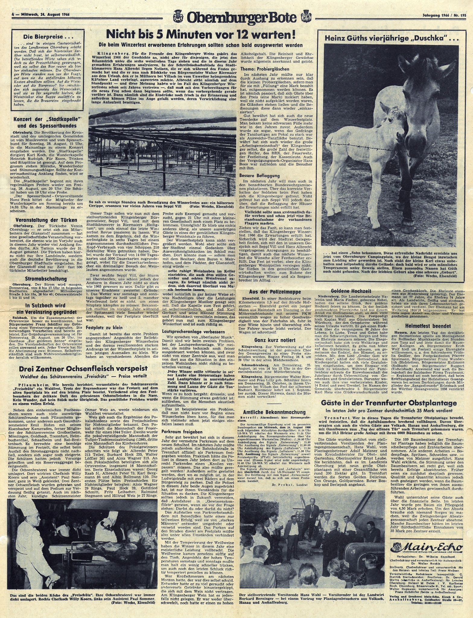 Zeitungsartikel zum Klingenberger Winzerfest 1966