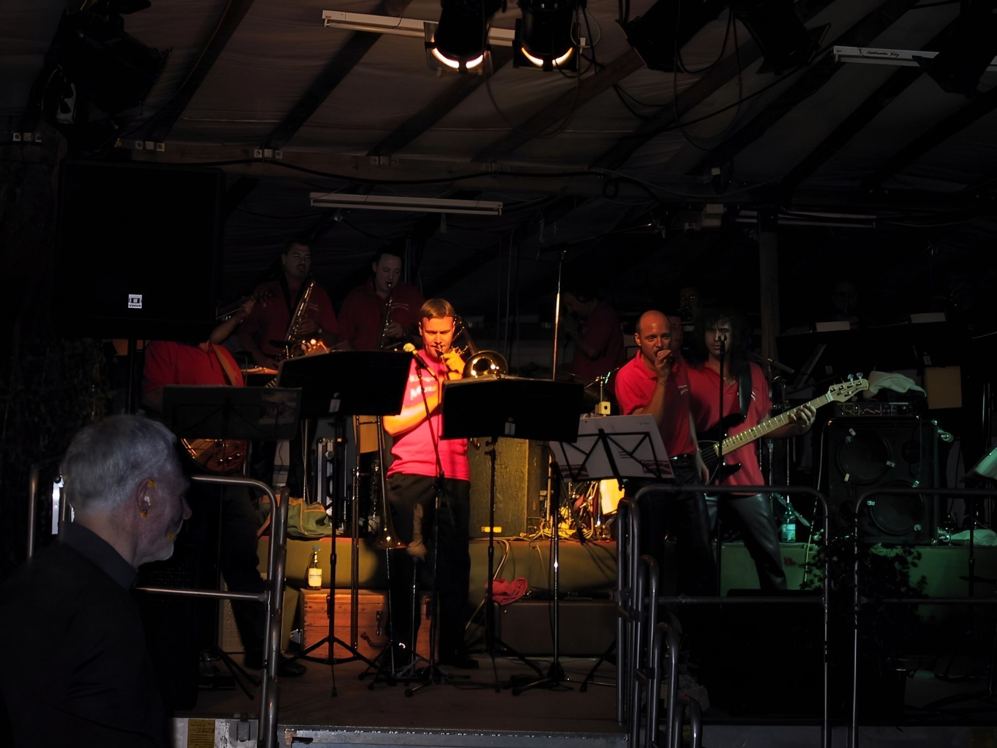 Die Klingenberger Musikanten in Aktion