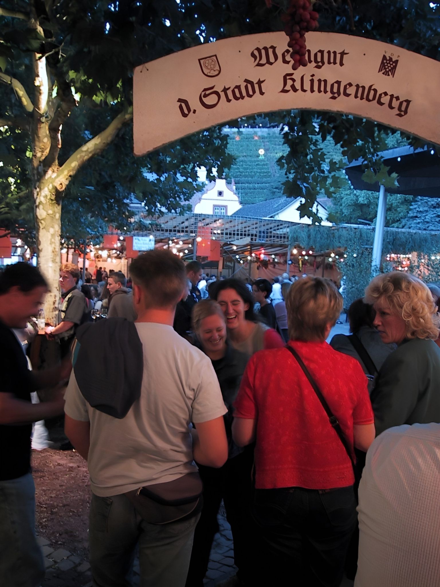 Blick aus der Laube des Städt. Weinguts