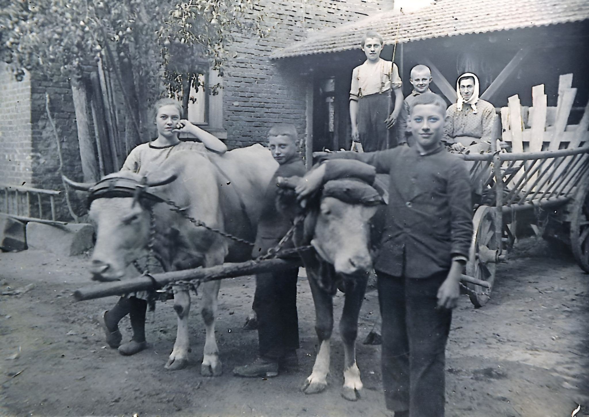 Unterlandstraße 26, 1920er Jahre - Start ins Feld